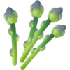 🍈