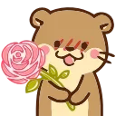 🌹
