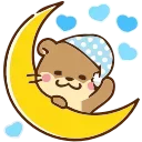 🌙