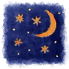 🌙