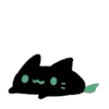 🐈‍⬛
