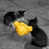 🤝