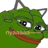 🐱