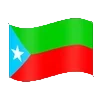 🇵🇰