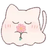 🐱