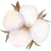 🌸