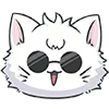 🐱
