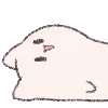 🐱