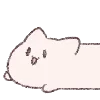 🐱