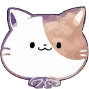 🐱