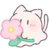 🐱