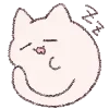 🐱