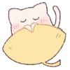 🐱