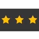 🌟