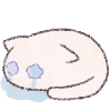 🐱