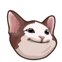🐈‍⬛️