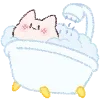 🐱