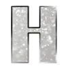 🩶