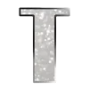 🩶