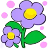 🌸