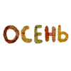 🍂