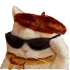 🐱