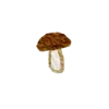 🍄