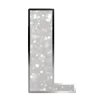 🩶