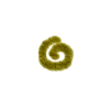 🟢