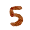 5⃣