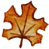 🍂