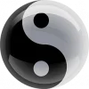 ☯️