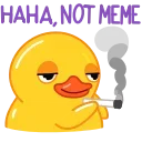 🐥