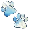 🐾