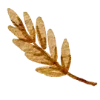 🍂