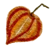 🍂
