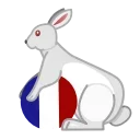 🇫🇷
