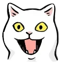 🐱