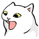 🐱