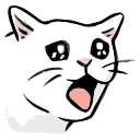 🐱