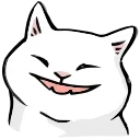 🐱