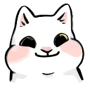 🐱