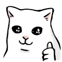 🐱