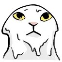 🐱