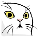 🐱