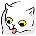 🐱