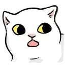 🐱