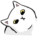 🐱