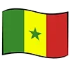 🇸🇳