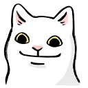 🐱